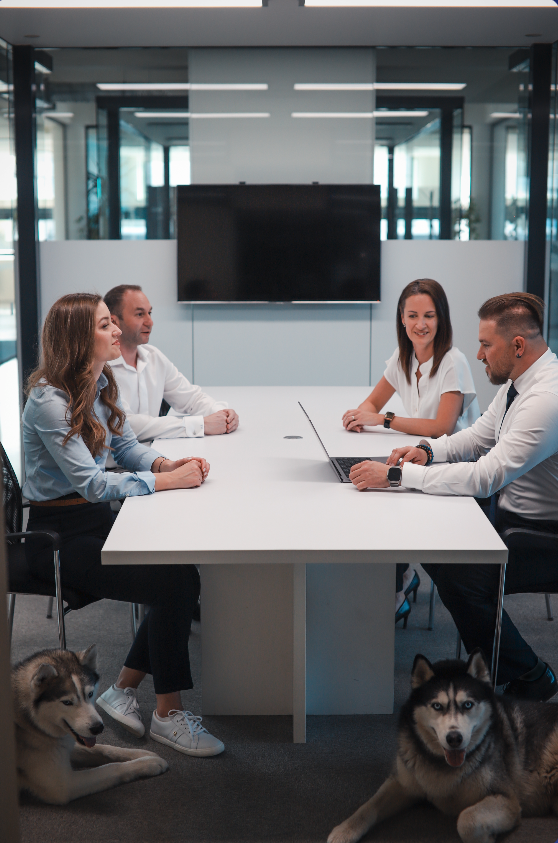 snimek_obrazovky_2026-03-25_v_15-13-56